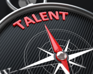 IT Talent in the aluminium sector