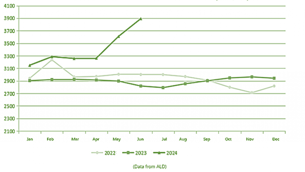 China domestic alumina price trend